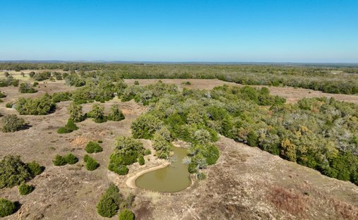 Farm Ranch in Gause, Texas, United States 1