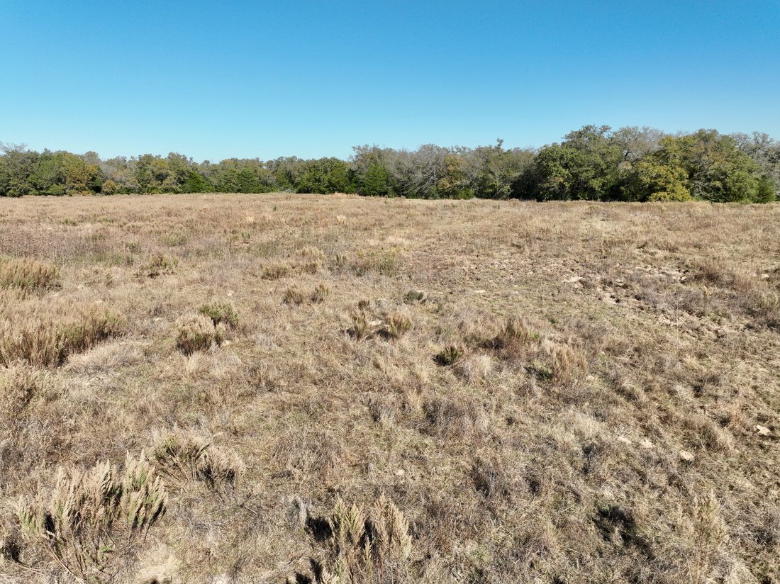 Farm Ranch in Gause, Texas, United States 3 - 17025500