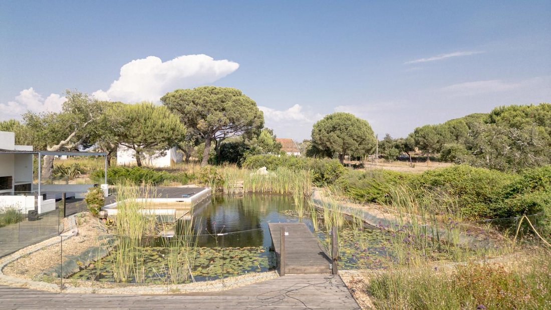 Villa in Grandola e Santa Margarida da Serra, Setubal, Portugal 3 - 17026428