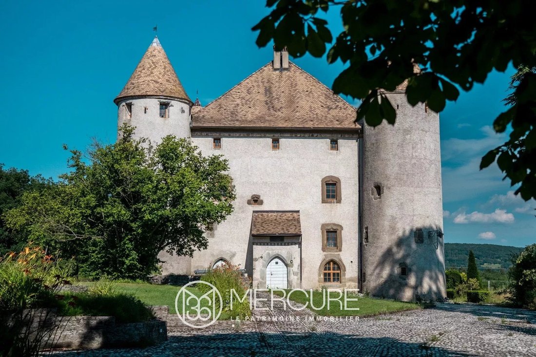 Schloss in Bons-en-Chablais, Auvergne-Rhone-Alpen, Frankreich 5 - 13813368