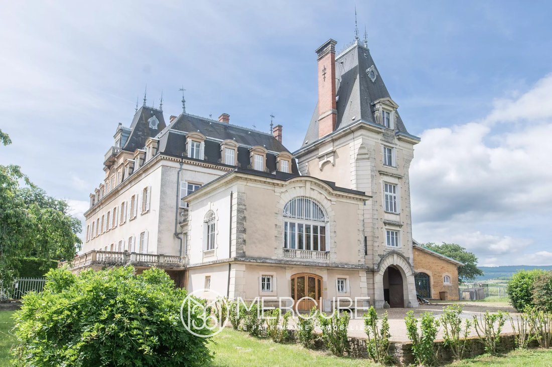 Castle in Villefranche-sur-Saone, Auvergne-Rhône-Alpes, France 4 - 16409827