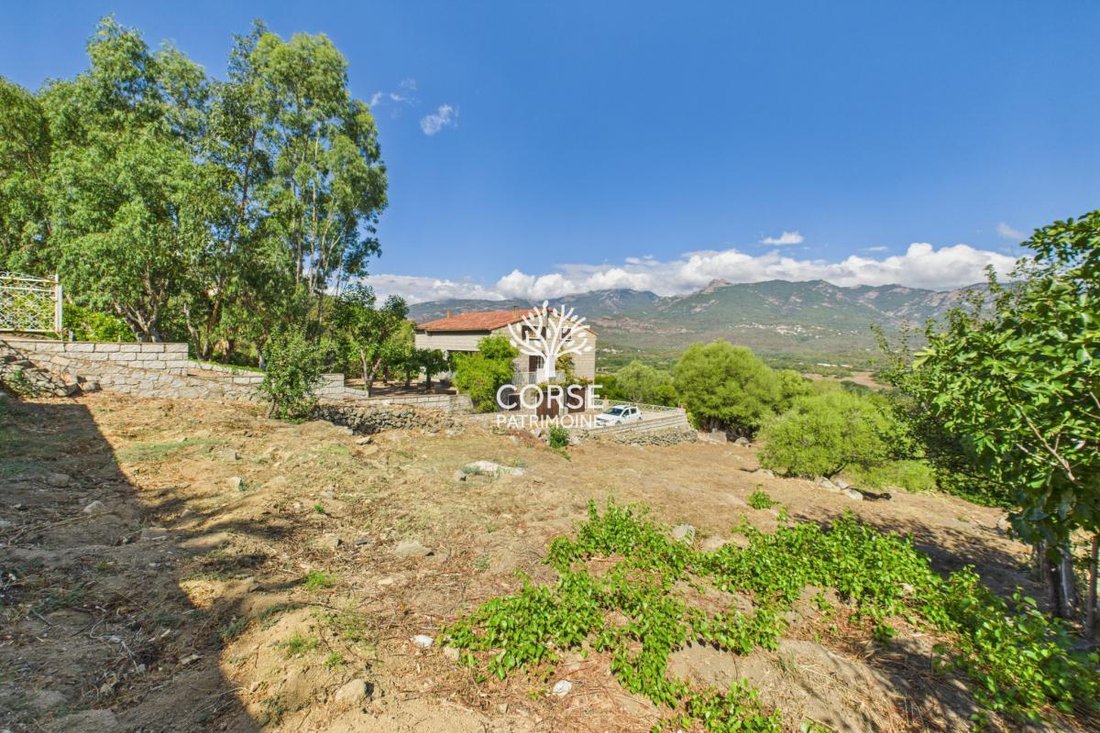 House in Sotta, Corsica, France 3 - 16022720