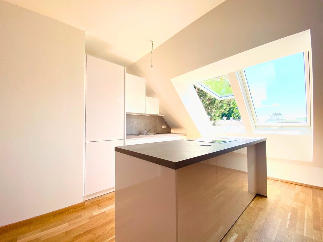 Penthouse in Vienna, Wien, Austria 3 - 17029967