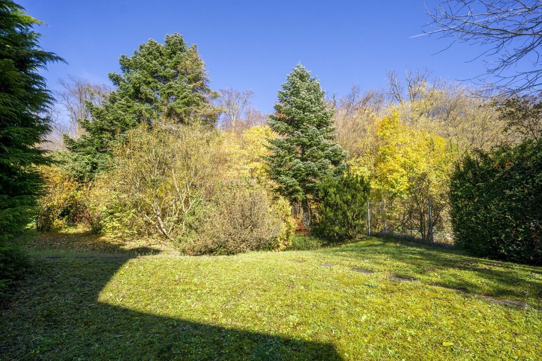 Purkersdorf, Lower Austria, Austria 5 - 16445442