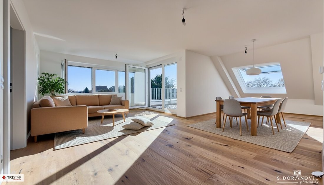 Penthouse in Vienna, Wien, Austria 1 - 17030808