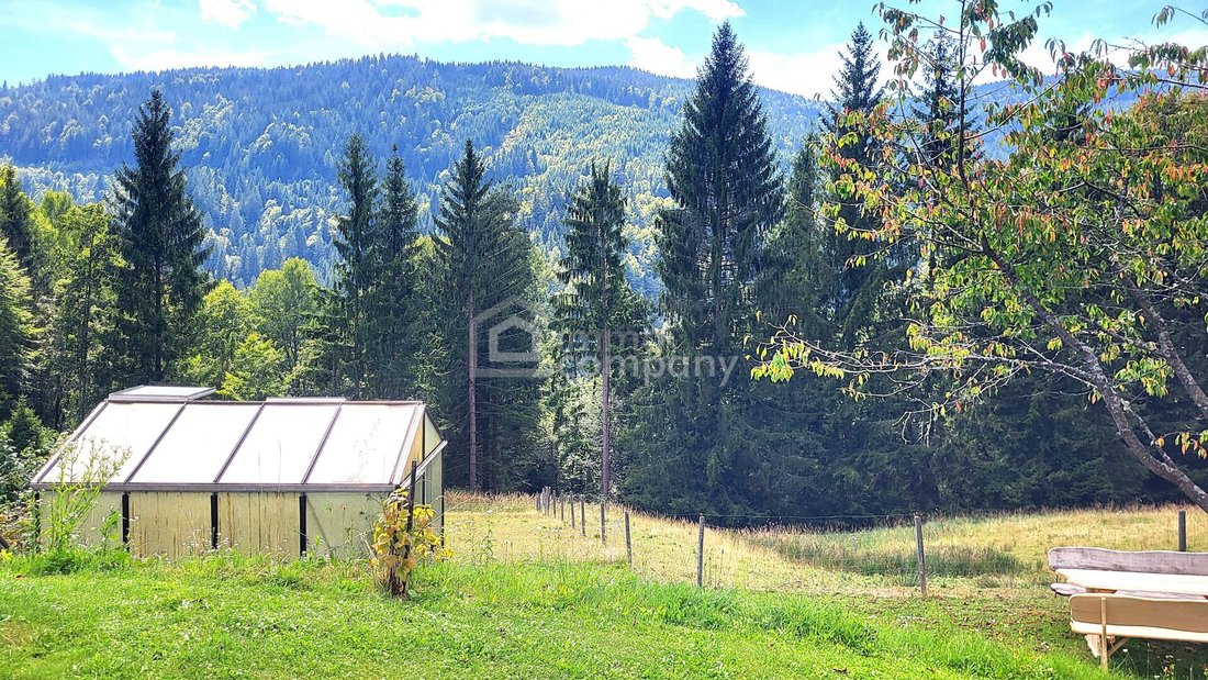 Sankt Oswald ob Eibiswald, Styria, Austria 3 - 17031057