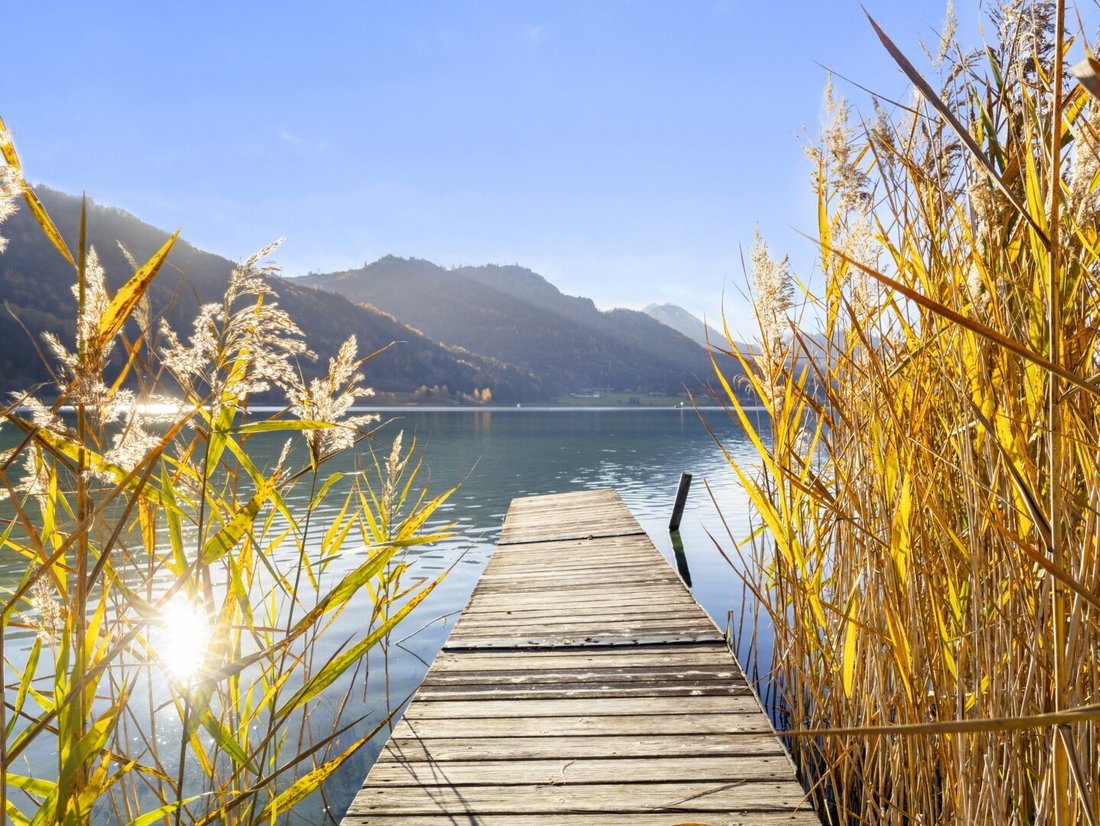 Techendorf, Carinthia, Austria 4 - 17032522