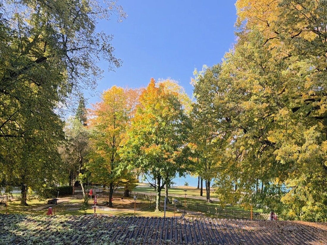 Penthouse in Schörfling am Attersee, Upper Austria, Austria 5 - 17029078