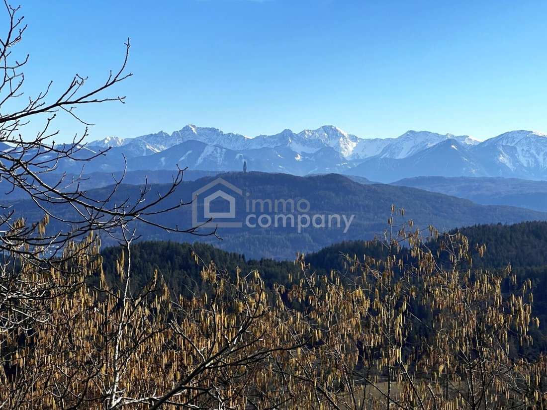 House in Obergöriach, Carinthia, Austria 3 - 16452262
