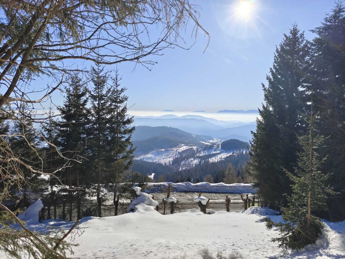 Apartment in Sirnitz, Carinthia, Austria 4 - 17030883