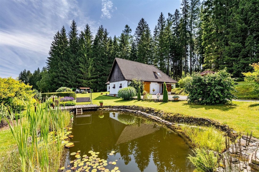 Country House in Frymburk, South Bohemian Region, Czechia 1 - 17031512