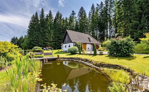 Country House in Frymburk, South Bohemian Region, Czechia 1