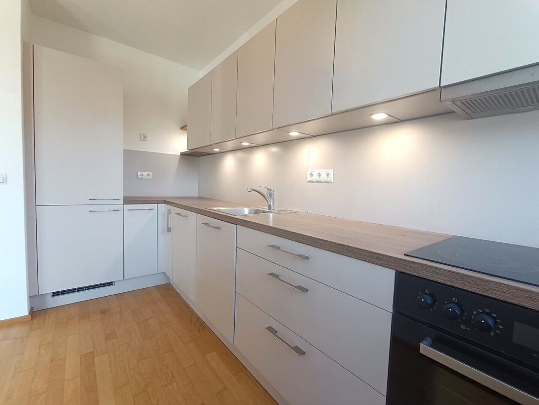 Apartment in Vienna, Wien, Austria 5 - 17029715