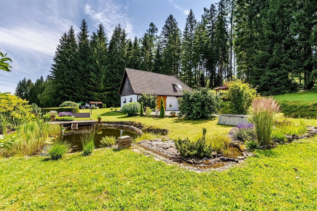 Country House in Frymburk, South Bohemian Region, Czechia 3 - 17031512