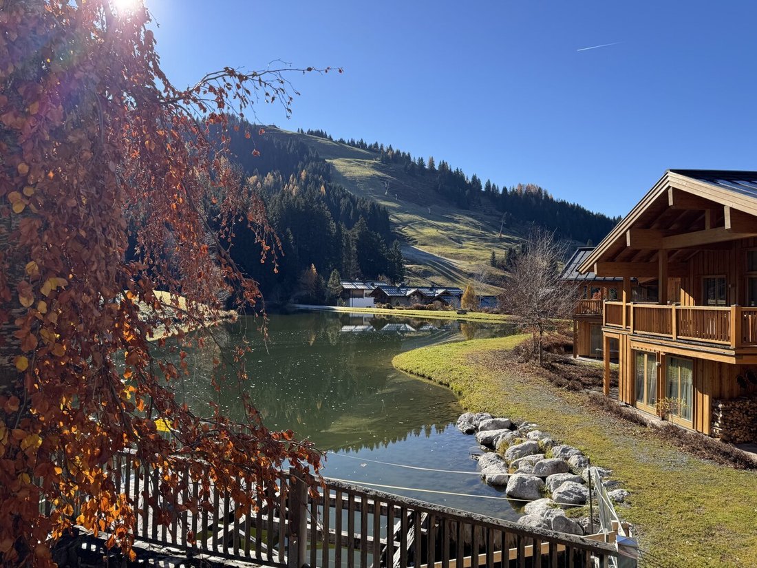 Apartment in Hinterthal, Salzburg, Austria 3 - 17031336
