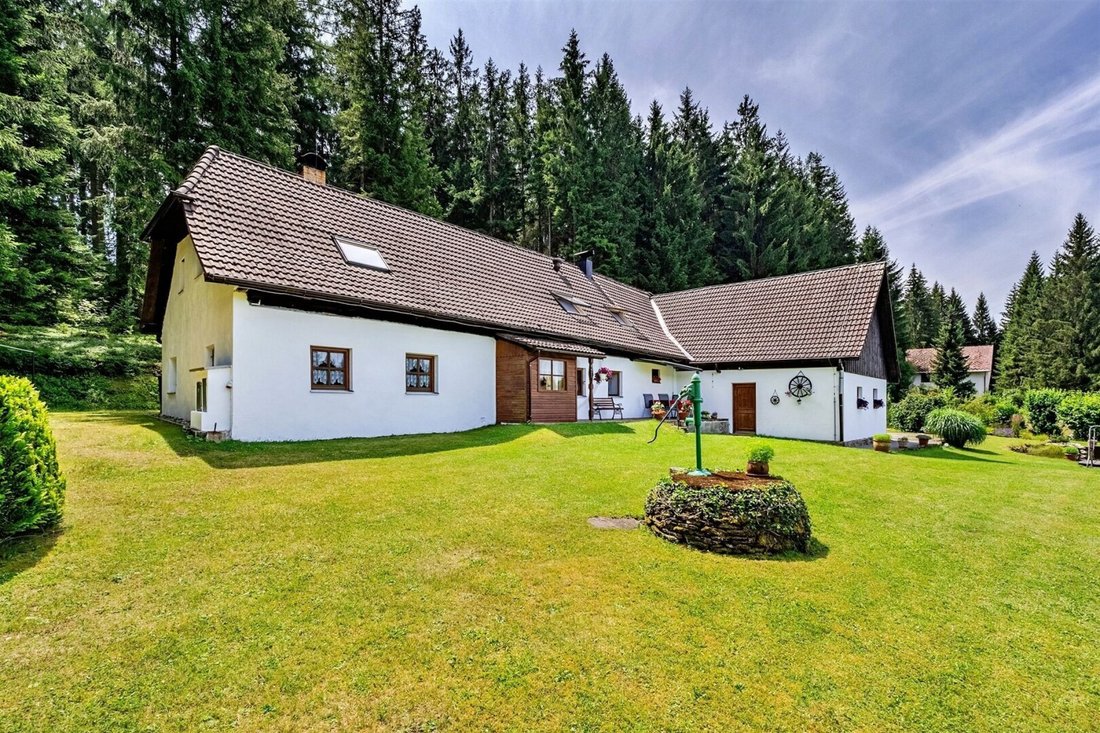 Country House in Frymburk, South Bohemian Region, Czechia 1 - 17031512