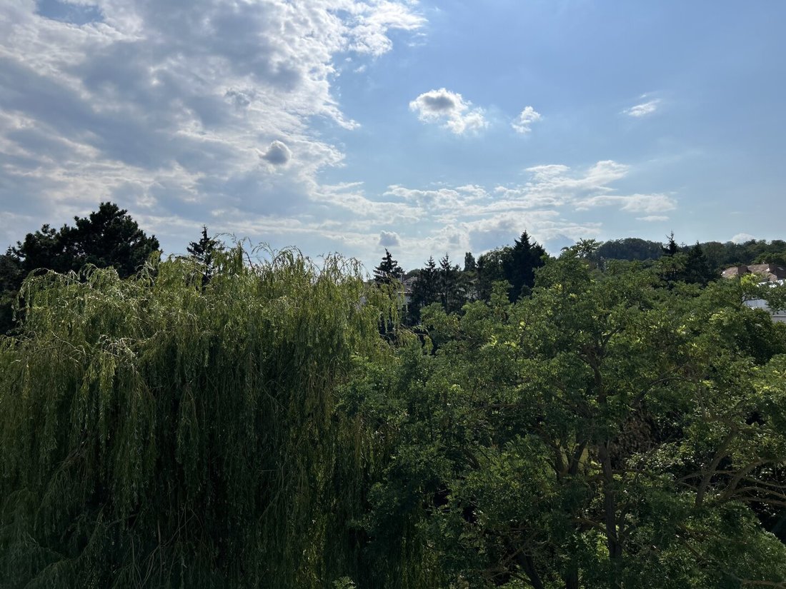 Penthouse in Wien, Wien, Österreich 2 - 17030386
