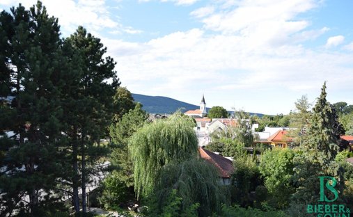 Haus in Traiskirchen, Niederösterreich, Österreich 1