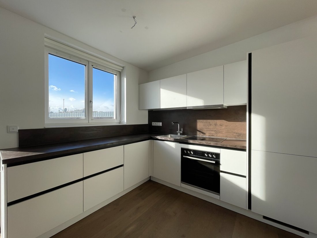 Penthouse in Vienna, Wien, Austria 3 - 17032247