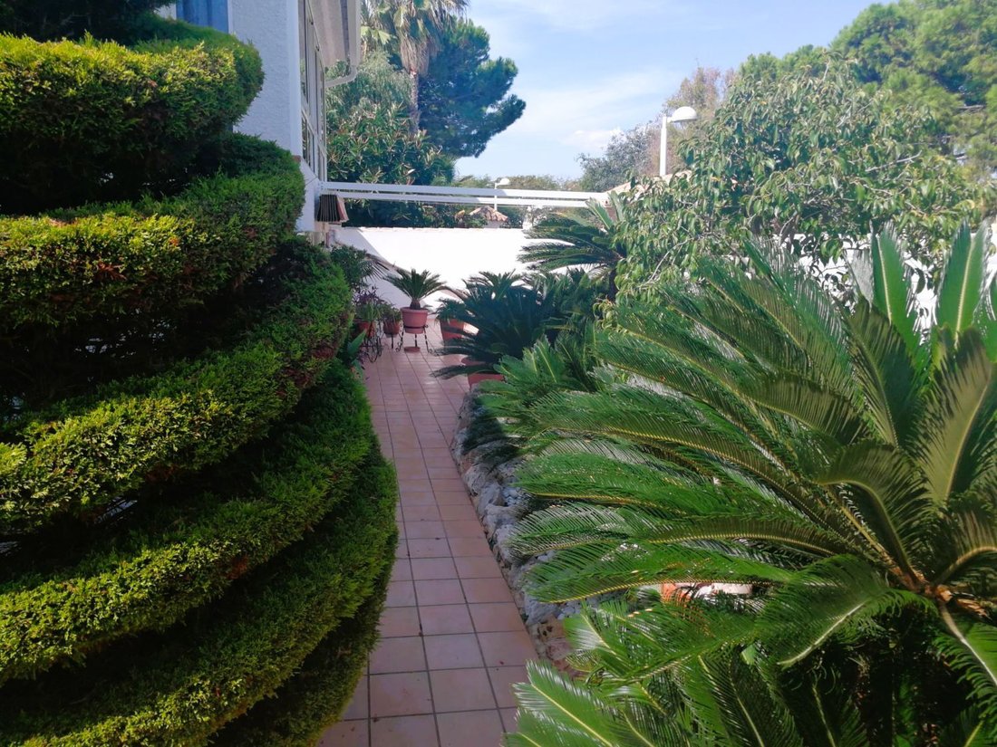 Chalet in Canet d'en Berenguer, Valencian Community, Spain 2 - 17036350