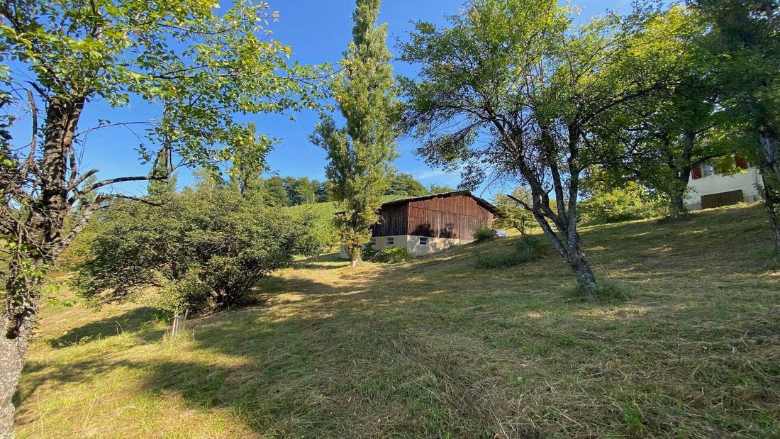Sernau, Styria, Austria 5 - 17036155