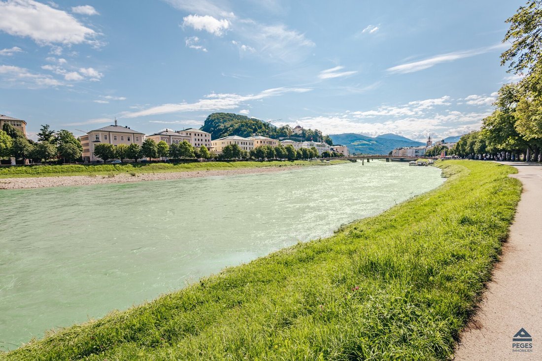 Apartment in Salzburg, Salzburg, Austria 5 - 17033476