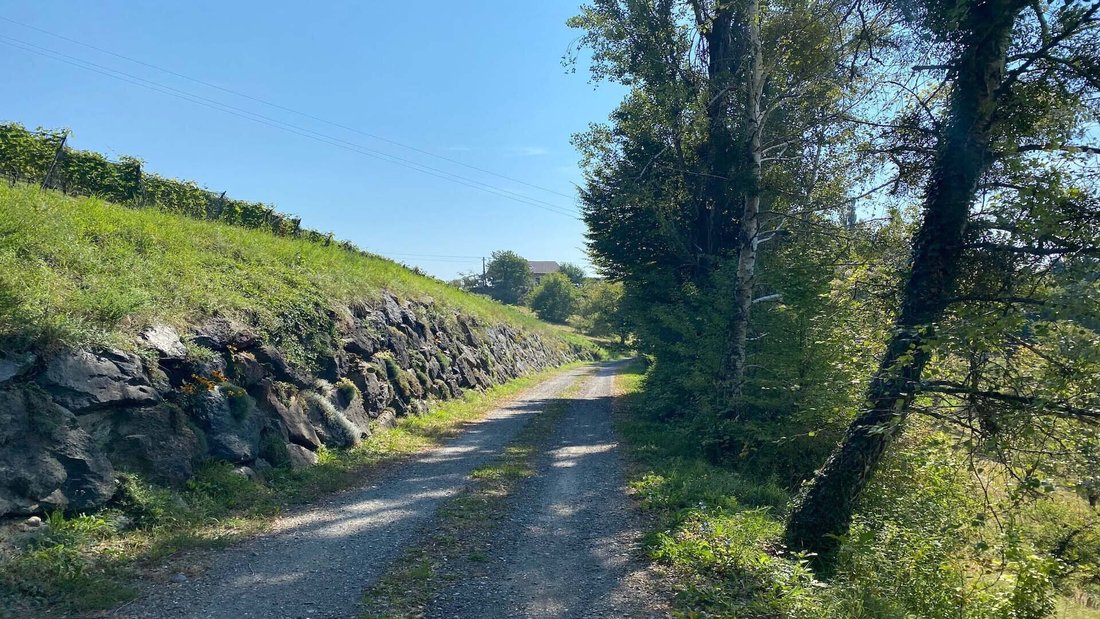 Sernau, Styria, Austria 4 - 17036155