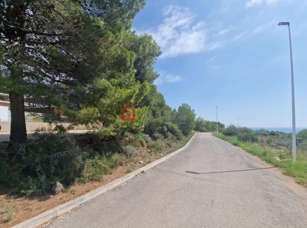Land in Peniscola / Peniscola, Valencian Community, Spain 5 - 17036623