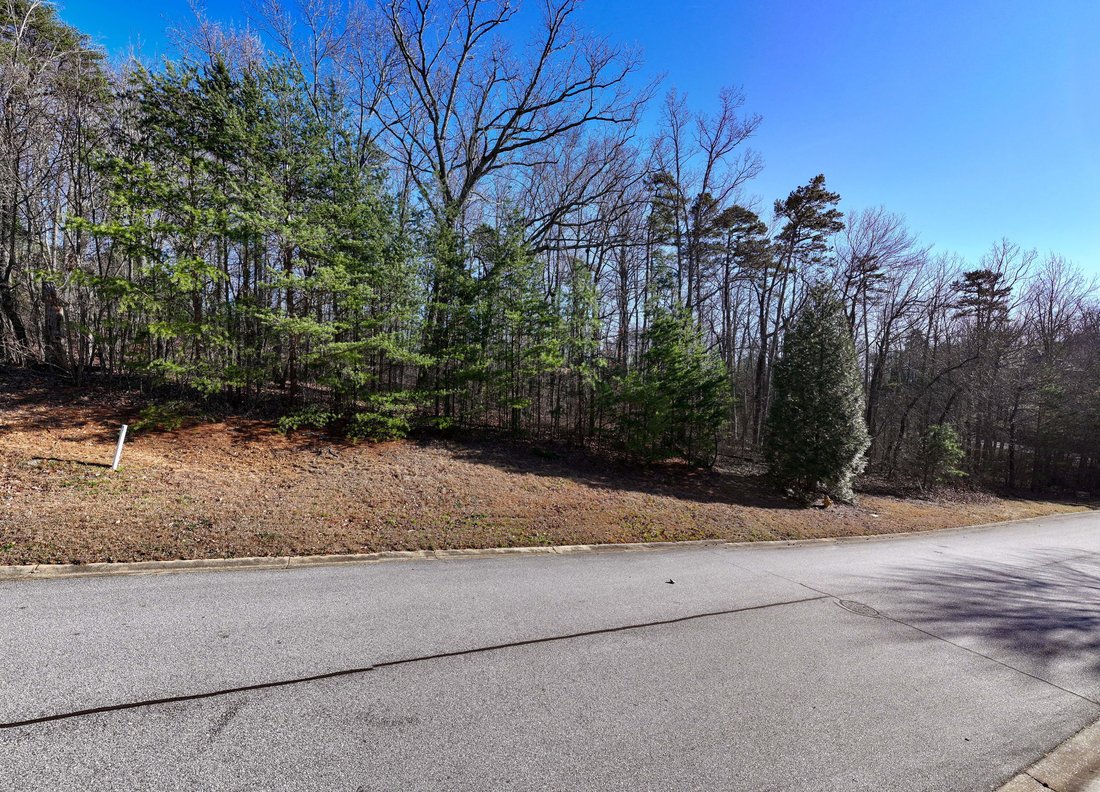 Land in Greenville, South Carolina, United States 4 - 17038017