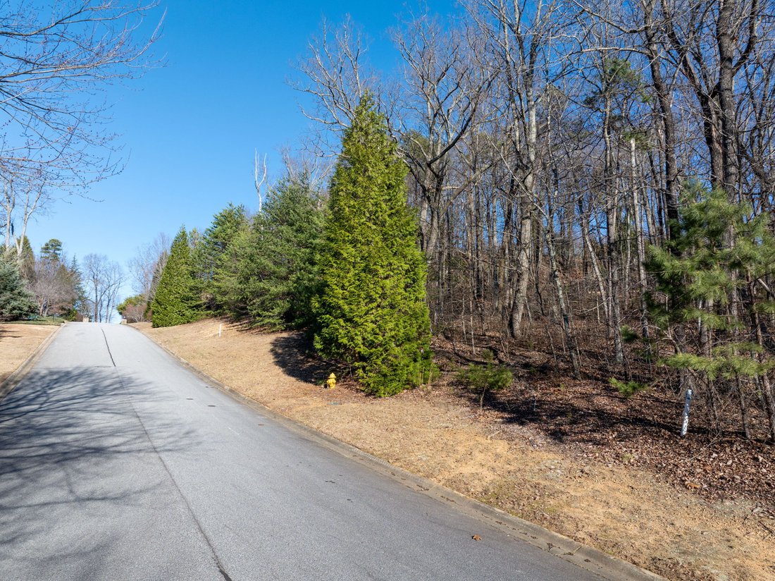 Land in Greenville, South Carolina, United States 1 - 17038017