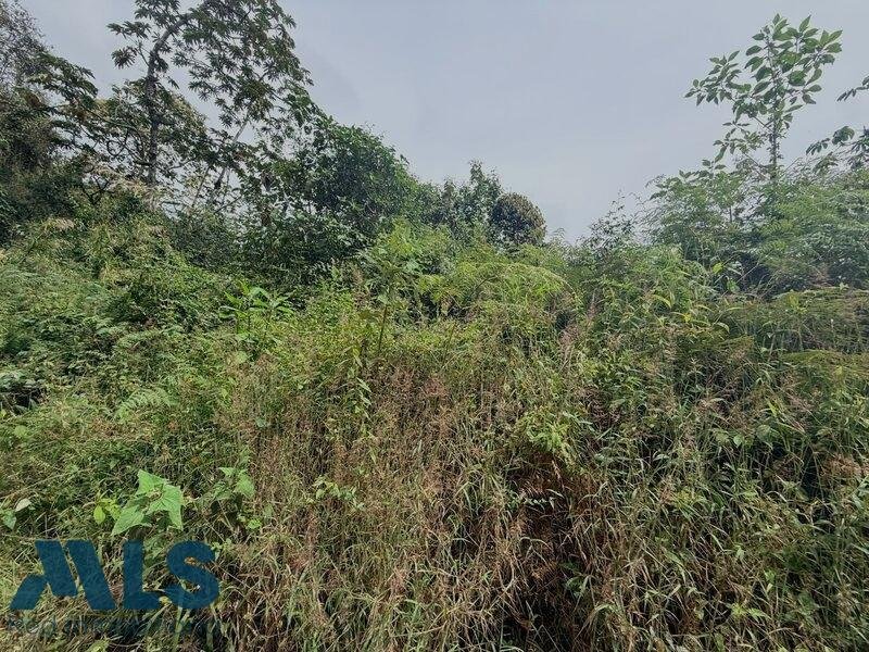 Land in La Luz, Antioquia, Colombia 1 - 17039813