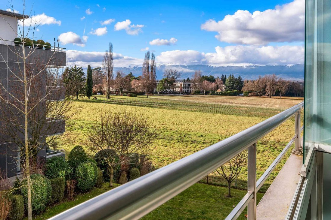 Bright Through Apartment In A Prime Residential Setting