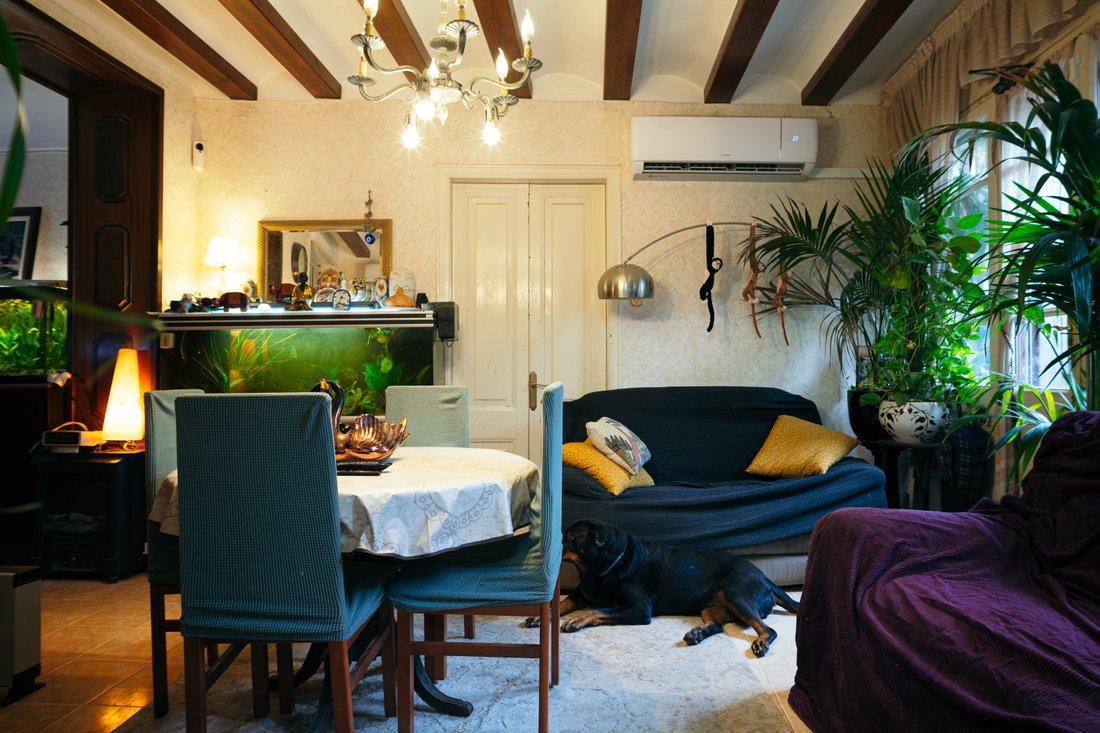Villa in Olesa de Montserrat, Catalonia, Spain 3 - 17038702