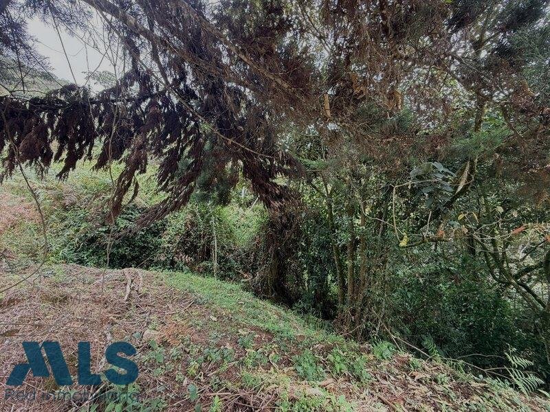 Land in La Luz, Antioquia, Colombia 3 - 17039813