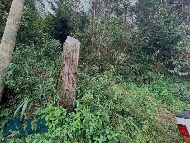 Land in La Luz, Antioquia, Colombia 5 - 17039813
