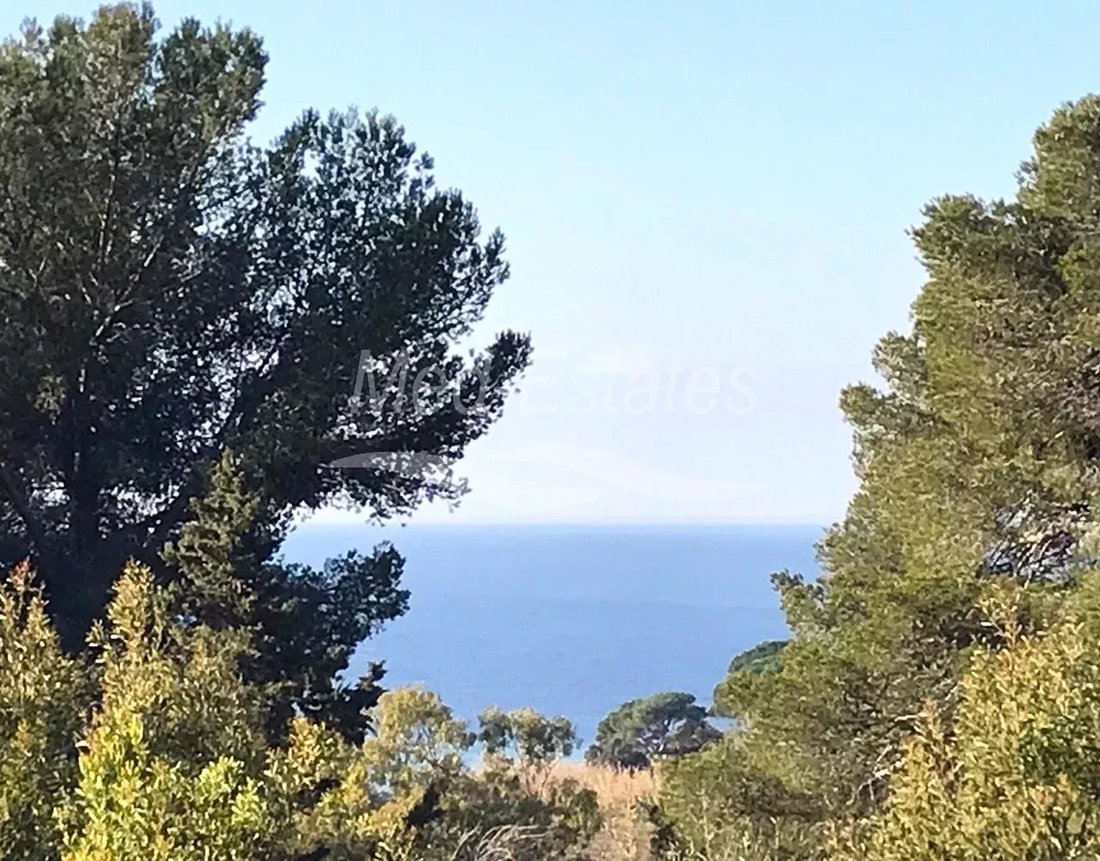 Villa in La Croix-Valmer, Provence-Alpes-Côte d'Azur, France 3 - 17038877