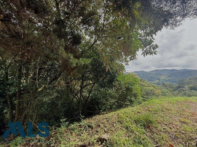 Land in La Luz, Antioquia, Colombia 4 - 17039813