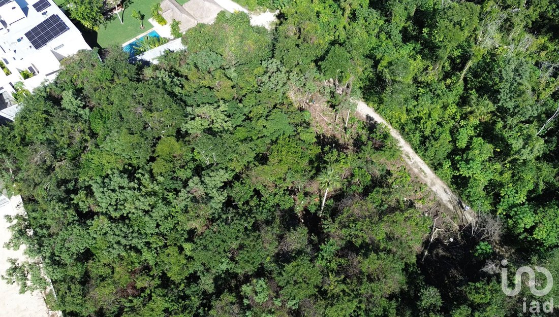 Land in Playa del Carmen, Quintana Roo, Mexico 2 - 17039663