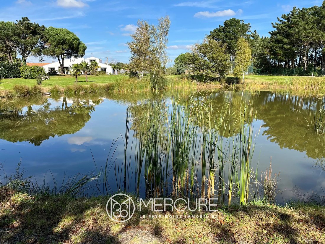 Estate in Saint Gilles Sud, Saint-Gilles-Croix-de-Vie, France 1 - 14503277