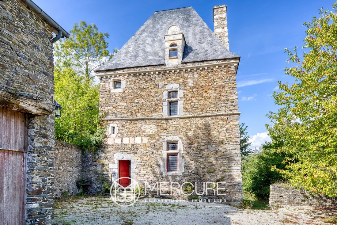 Castle in Agneaux, Normandy, France 4 - 16656682