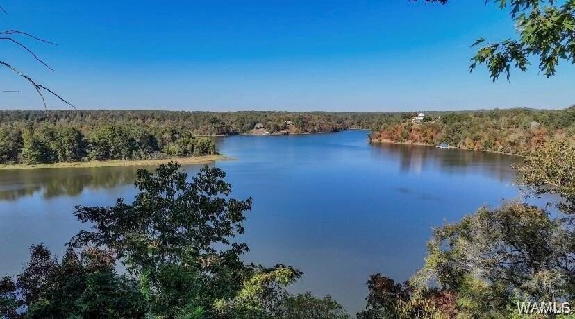 House in Northport, Alabama, United States 3 - 17043866
