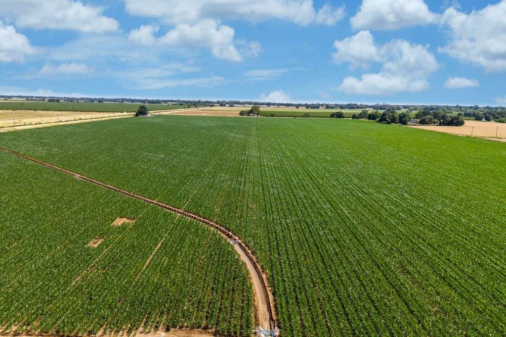 Farm Ranch in Sacramento, California, United States 4 - 17043925