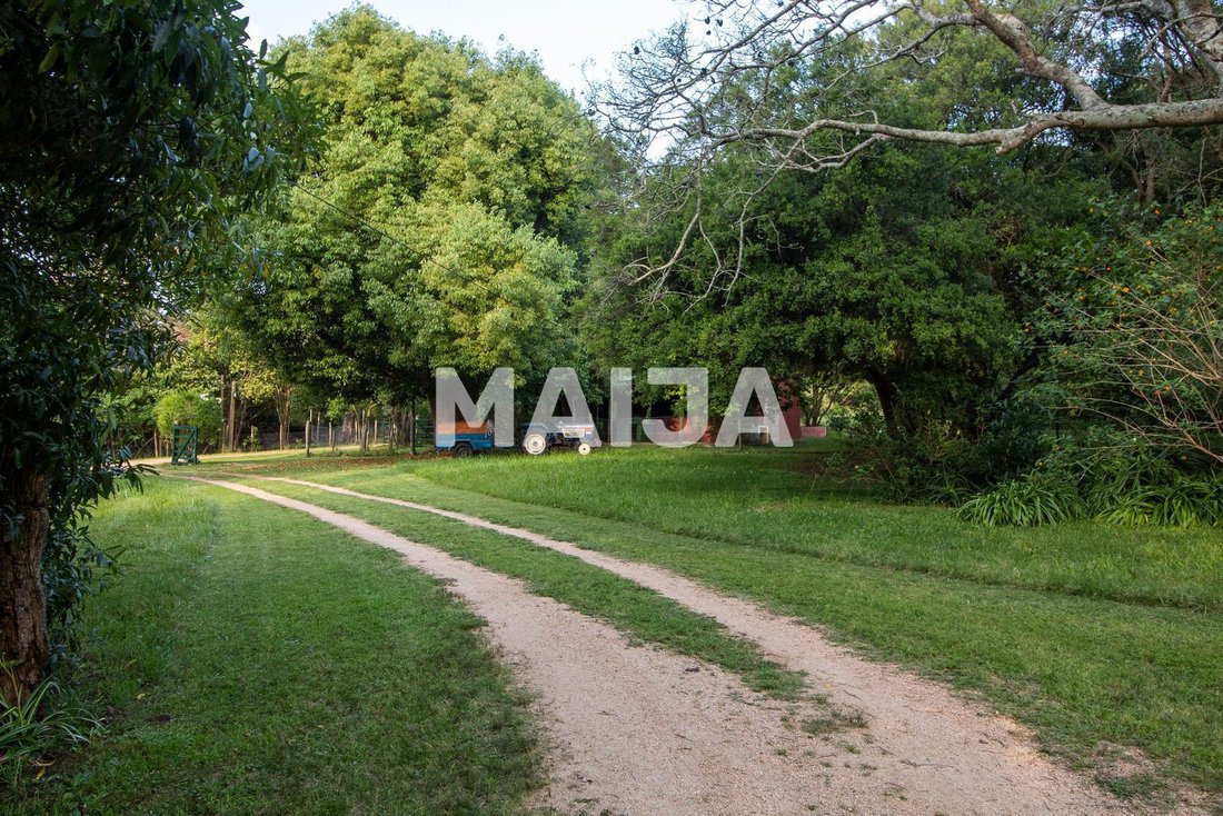House in Punta Ballena, Maldonado Department, Uruguay 2 - 17042449