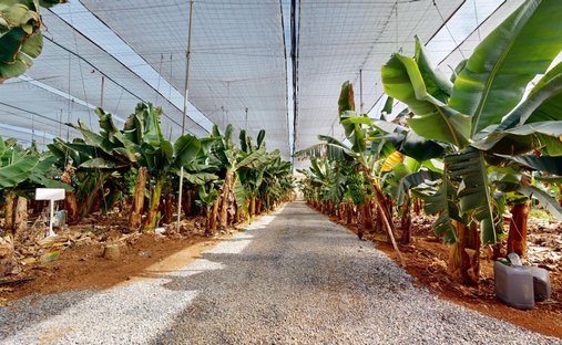 Terreno en Galdar, Canarias, España 1