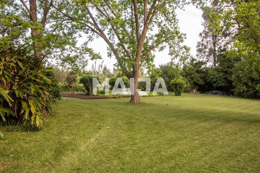 House in Punta Ballena, Maldonado Department, Uruguay 4 - 17042449