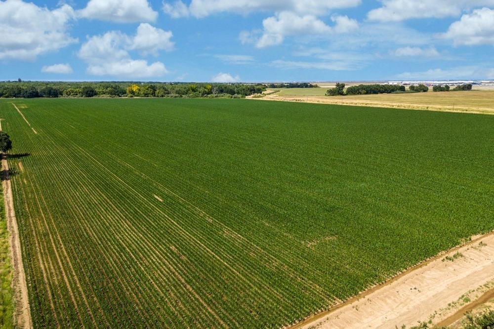 Farm Ranch in Sacramento, California, United States 5 - 17043925