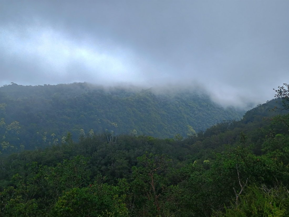 Land in Hana, Hawaii, United States 3 - 17044018