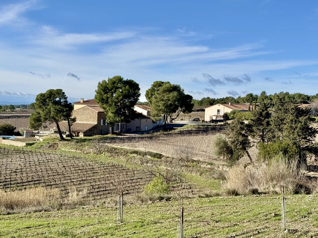 House in Le Bois-Plage-en-Ré, Nouvelle-Aquitaine, France 4 - 17043440