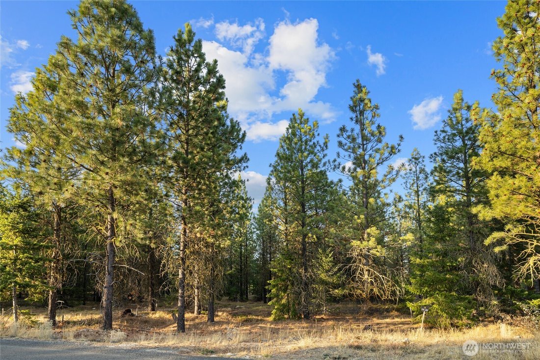 House in Cle Elum, Washington, United States 4 - 17043248