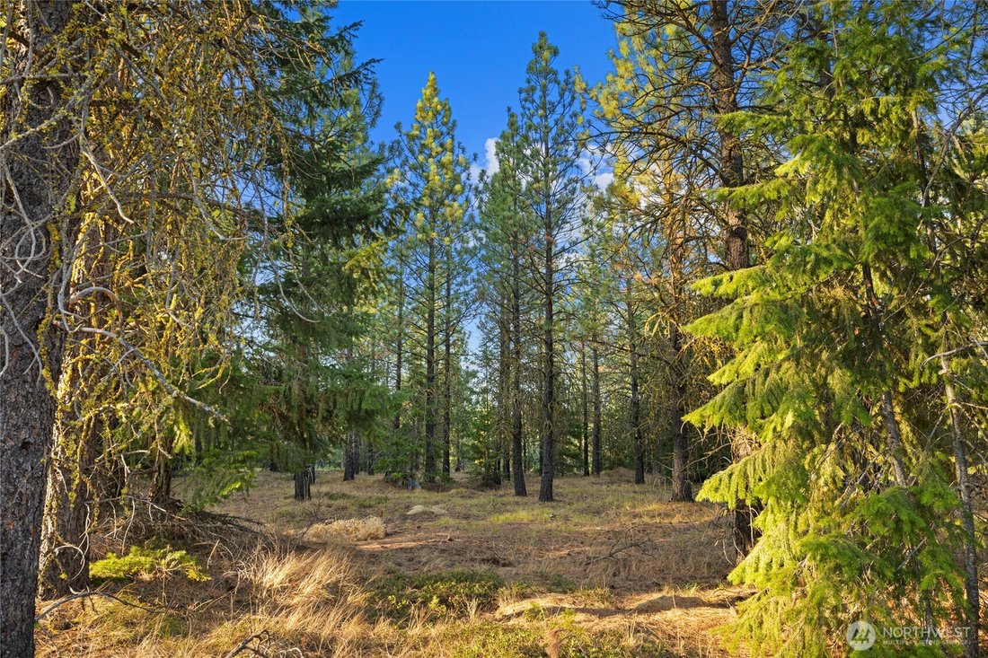 House in Cle Elum, Washington, United States 5 - 17043248
